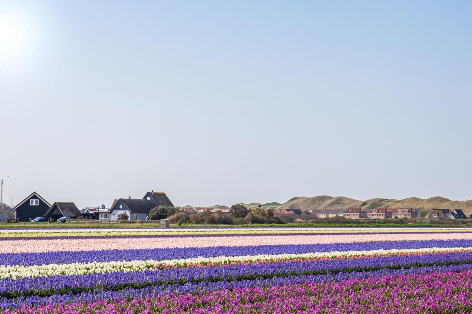 Beach Appartement 27 - Aan De Duinen, Callantsoog Aan Zee Exteriör bild
